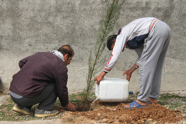 آغاز درختکاری منازل شهروندان از ١٠ دیماه