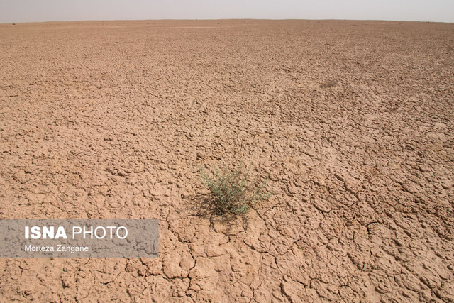 ۷ نکته درباره بیابان‌ها