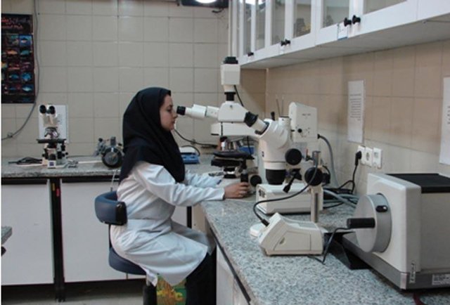 جذب کارآفرینان و ایده پردازان حوزه سلامت در جهاد دانشگاهی علوم پزشکی شهید بهشتی