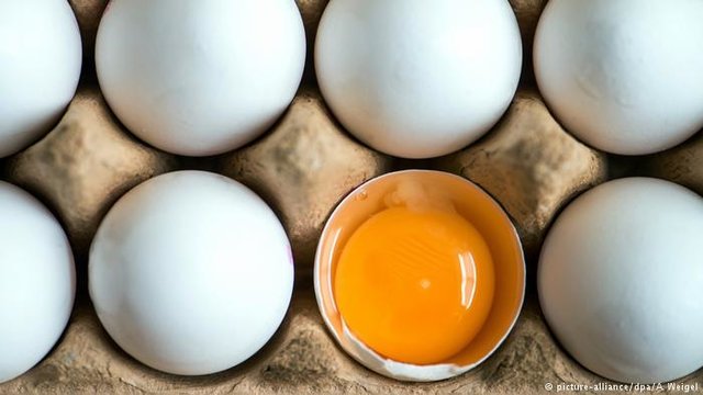 افزایش ۴ درصدی قیمت تخم‌مرغ در همدان