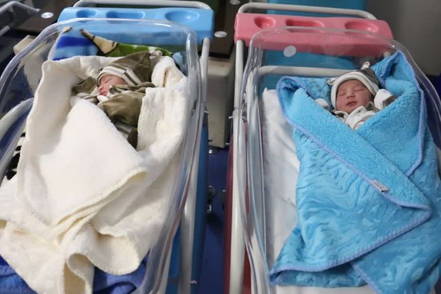 تولد ۱۳۲ نوزاد در بیمارستان میناب در تعطیلات نوروز
