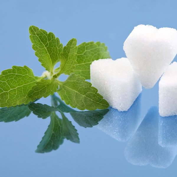 تولید شیرین‌کننده گیاهی جایگزین شکر در کشور