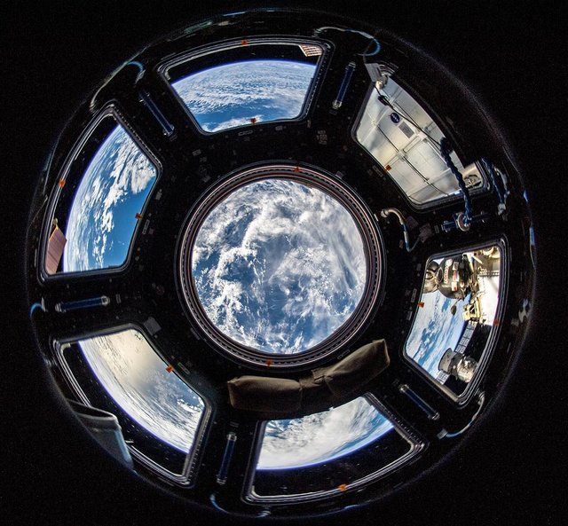 “کاپولا”؛ پنجره‌ای به سوی سیاره مادری