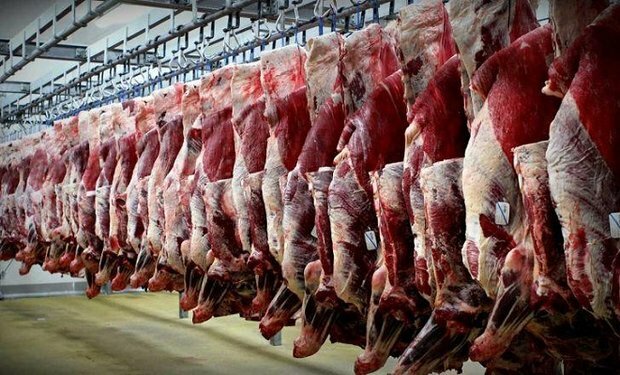 افزایش توزیع گوشت تنظیم بازار از طریق ارز نیمایی
