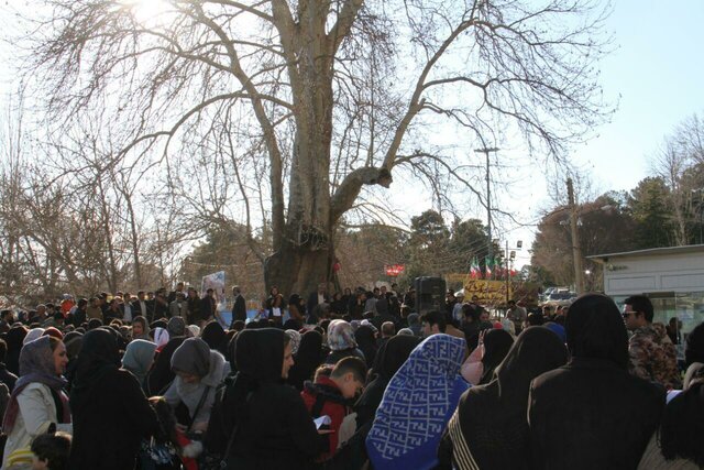 جشن تولدی برای درخت کهنسال کرمانشاه