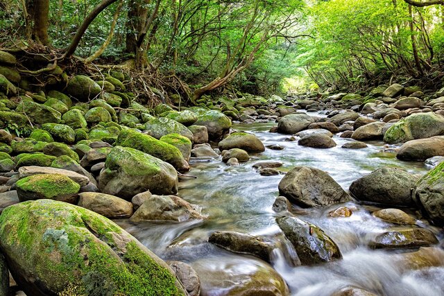 پیمانی برای حفظ طبیعت