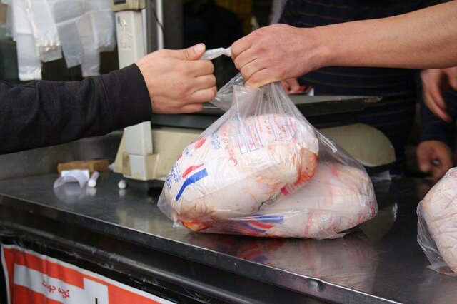 کشف و عرضه ۷ تن مرغ گرم به قیمت مصوب توسط گشت نوروزی تعزیرات تهران