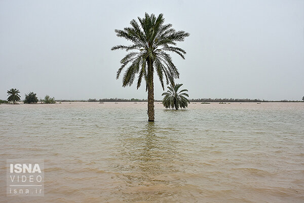 خاورمیانه تحت تأثیر بارش‌های اخیر / دریافت ۴۷ میلی‌متر بارش در کشور طی دو هفته