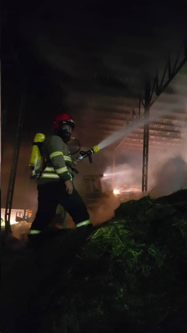 آتش سوزی گسترده گاوداری سه هزار راسی در یاسوج