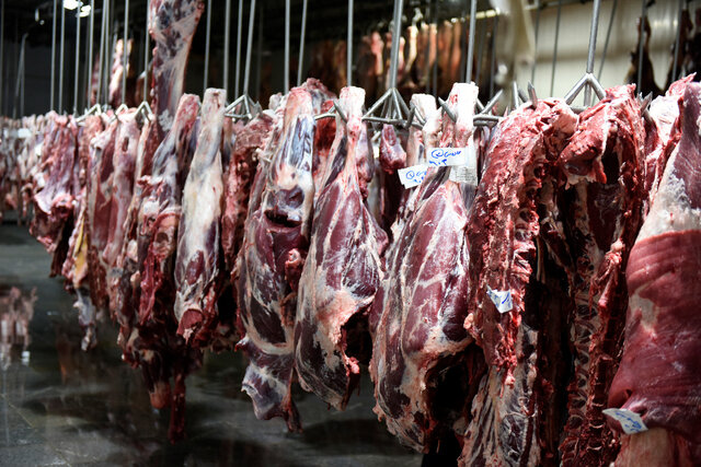 ۷۰ درصد گوشت مورد نیاز البرز از اینجا می‌آید (تصاویر)