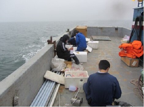 بررسی اثرات سیل اخیر بر خلیج فارس در گشت تحقیقاتی پژوهشگاه اقیانوس‌شناسی