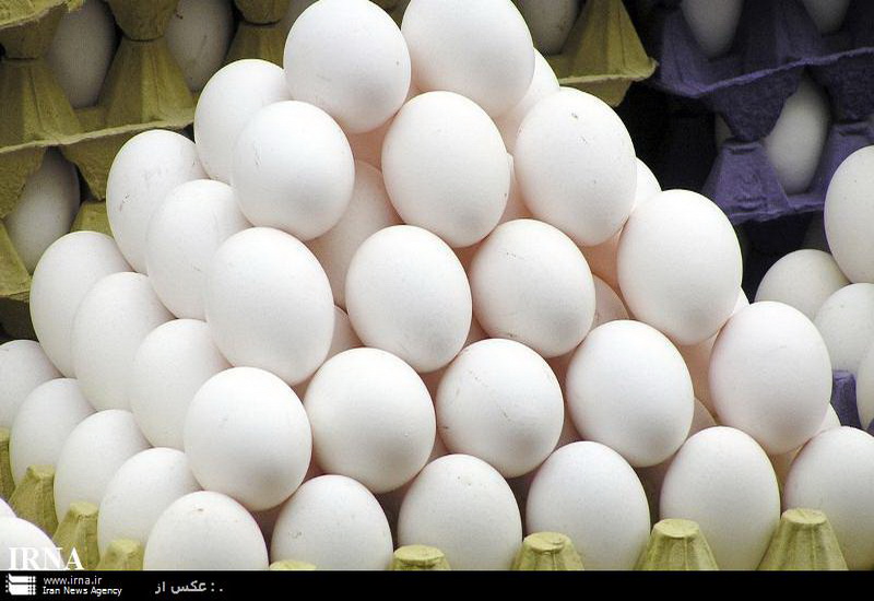 قیمت هرعدد تخم مرغ در میادین پایتخت ۴۹۳ تومان است