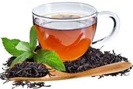 خسارت ۲۰ تا ۸۰ درصدی سرمازدگی به باغات چای لاهیجان