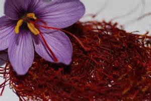 تولید ۱۱۰۰ کیلوگرم زعفران در گلستان