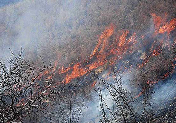پرداخت ۸۰۰ میلیون برای مقابله با آتش‎سوزی در جنگل‎ها و مراتع