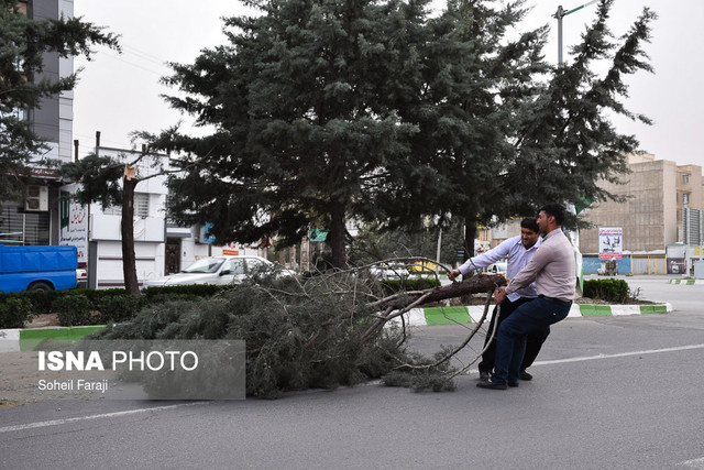 خسارت طوفان یزد به درختان و پل‌های عابر پیاده
