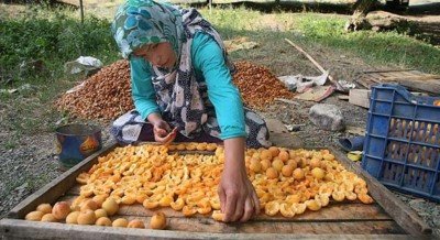 اصلاح وضعیت تغذیه زنان روستایی و عشایر، در دستور کار دو وزارتخانه