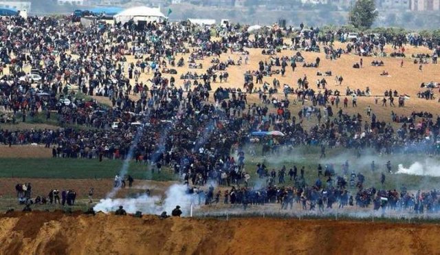 شلیک گاز اشک‌آور به فلسطینی‌ها در پنجمین تظاهرات “بازگشت”
