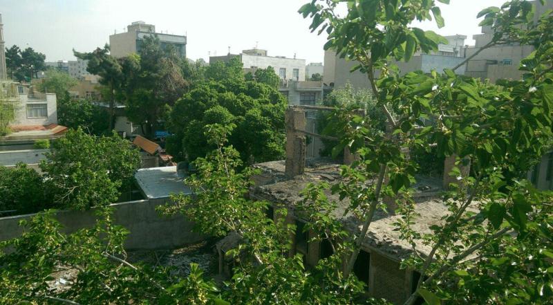 باغ تاریخی «ملک» شهرری درحال نابودی است