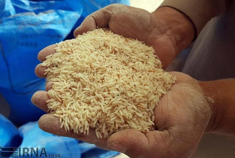 واردات برنج همچنان برقرار است