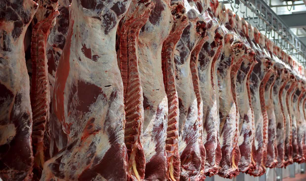 کاهش یک هزار تومانی قیمت گوشت