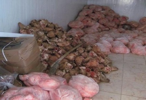 کشف ۳۰۰ کیلو گوشت فاسد در «تالش»