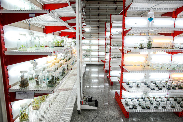 دومین کارخانه تولید محصولات گیاهی دانشگاه آزاد اراک افتتاح می‌شود