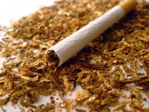 کاهش جمعیت سیگاری‌ها در فرانسه