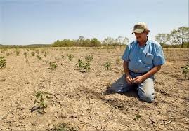 بیکاری ۸ هزار کشاورز چابهاری بر اثر خشکسالی