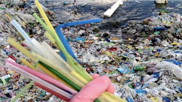 ممنوعیت استفاده از نیِ پلاستیکی در “نوشاتل” سوئیس