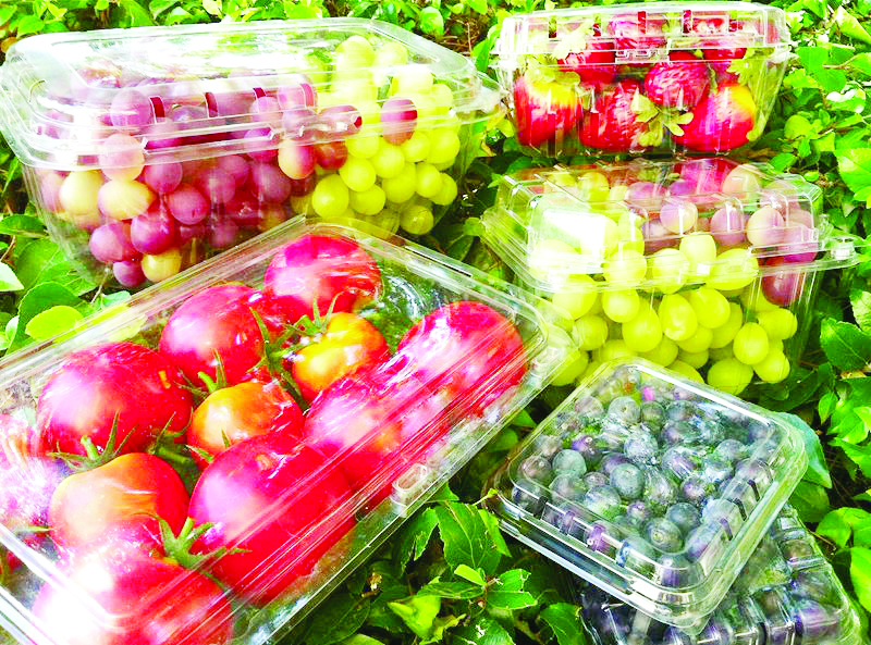بسته‌بندی  حلقه مفقوده  صادرات  میوه