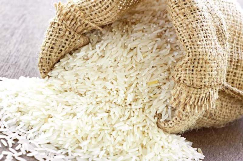 معاون وزیرکشاورزی: اختلاف حقوقی، سبب توقیف برنج اروگوئه در گمرک شد