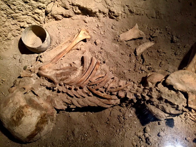 «اسکلت باردار» کجاست؟