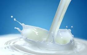 دامداران در انتظار تعیین قیمت تضمینی شیر خام