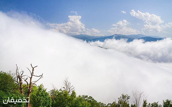 تور ۱.۵ روزه جنگل ابر از آژانس مسافرتی مدیکو سیر با ۲۵% تخفیف