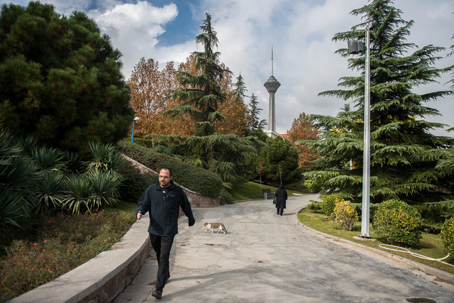 هوای سالم تهران تداوم دارد