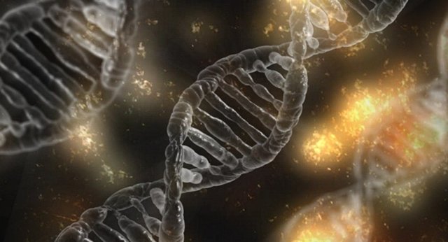 ارتباط بین ژنتیک و بروز سرطان
