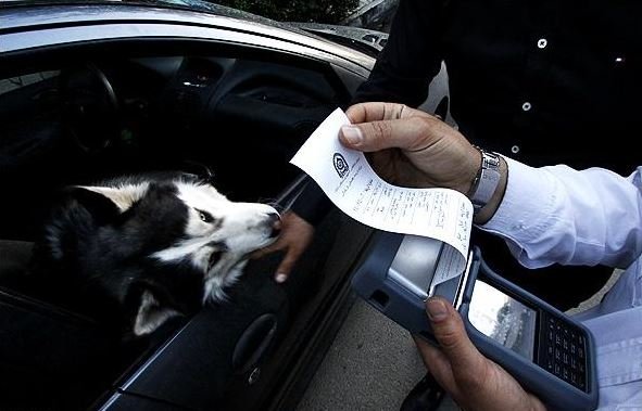 ‌حمل حیوانات مینیاتوری با خودروی شخصی ممنوع!