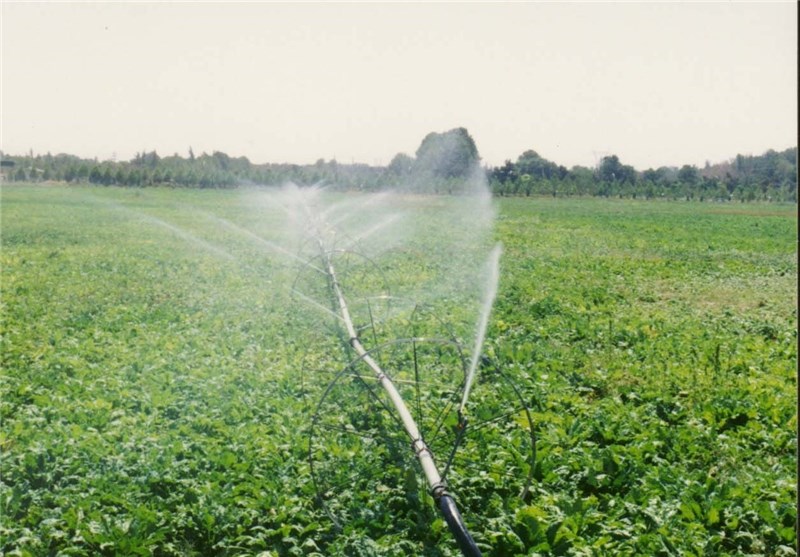 ۲۵۰هکتار زمین کشاورزی در ایرانشهر به آبیاری نوین مجهز شد