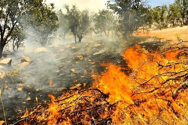 بیش از ۱۰۰ هکتار از اراضی مرتعی پارک ملی گلستان در آتش سوخت