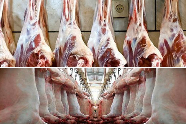 پرداخت یارانه ۴ هزار تومانی برای واردات هر کیلو گوشت قرمز