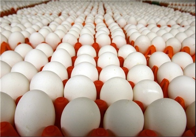 کاهش ۲۰ درصدی تولید تخم مرغ