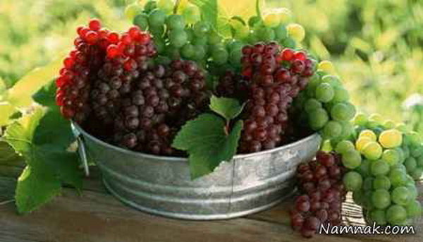 برداشت بیش از ۲۱۰۰ تن انگور یاقوتی در شهرستان پلدختر