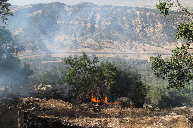 آتش‌سوزی در جنگل‌های یاسوج