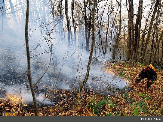 آتش‌سوزی اراضی و باغات گرمی ۵ میلیارد تومان خسارت به همراه داشت