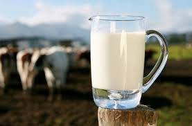 تولید ۷۵۰۰ تن شیر خام در لرستان
