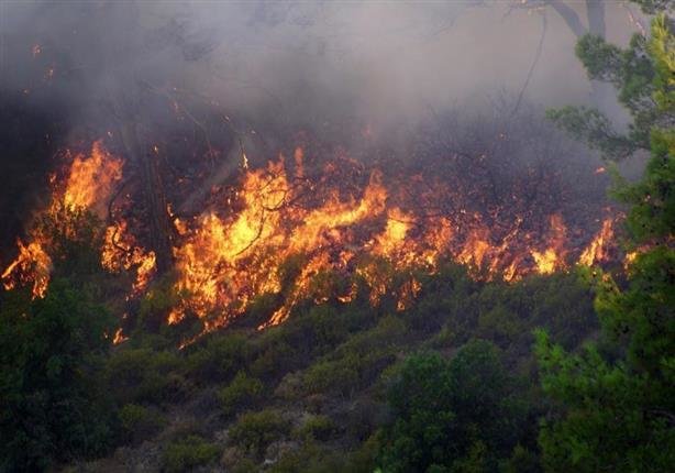 مهار آتش قبل از گسترش در پارک ملی گلستان