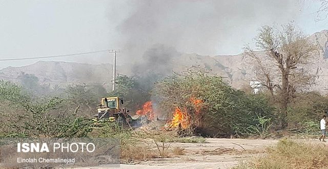 آتش ۱۵۰ هکتار جنگل و مرتع را در فیروزآباد سوزاند