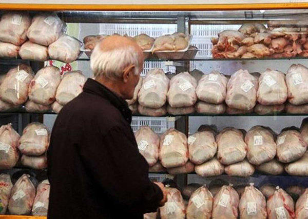 افزایش قیمت مرغ در بازار