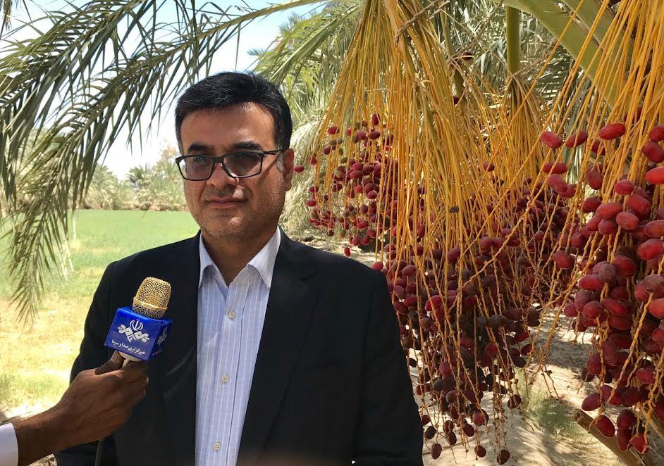در هفته دولت ۱۱۴پروژه بخش کشاورزی در سیستان وبلوچستان به بهره برداری می‌رسد